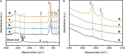 Synthesized Geopolymers Adsorb Bacterial Proteins, Toxins, and Cells